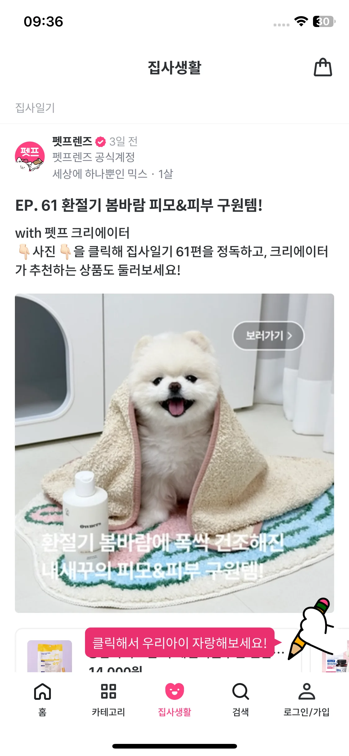 Test Image 12
